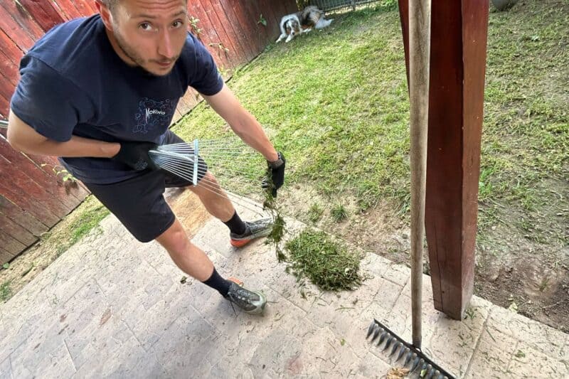 De pe stadion, la plantat gazon