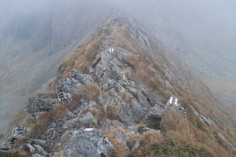 Câteodată sau prea des