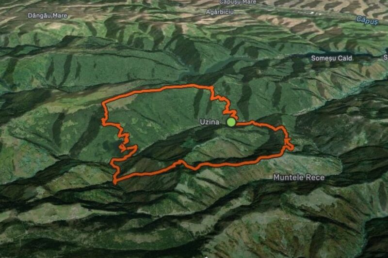 Retrospectiva lunii Februarie